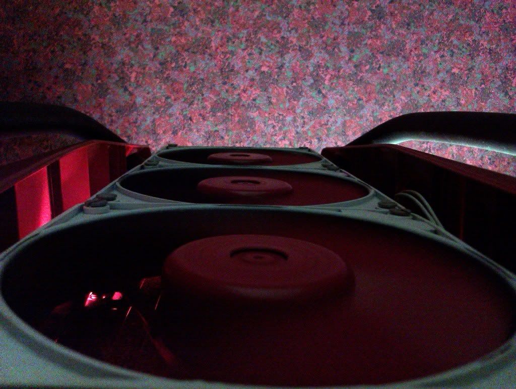 IMAG0028-1.jpg