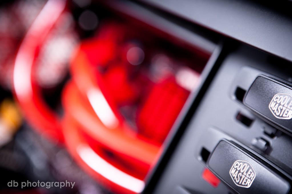 _MG_3809.jpg