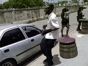 photo 13919889.gif
