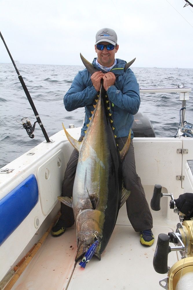 Yellowfin Tuna on Surface Lures