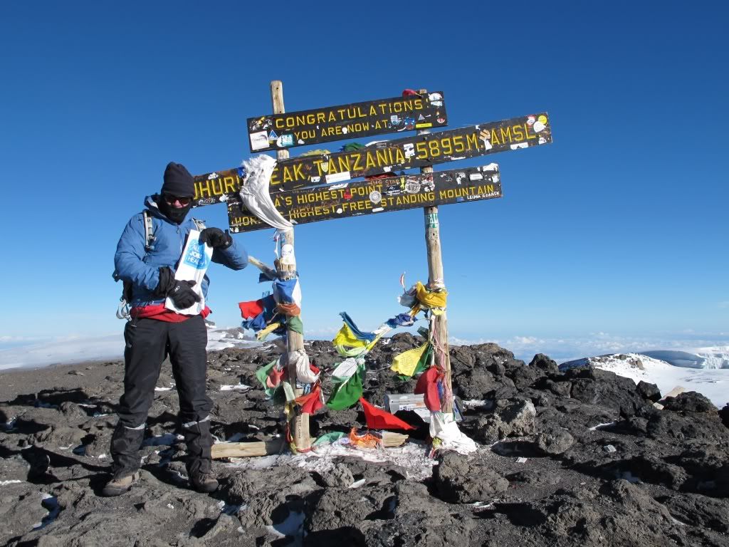 All Jobs Health,Mark Sheen,Mount Kilimanjaro,alljobshealth.com.au,mountaineer