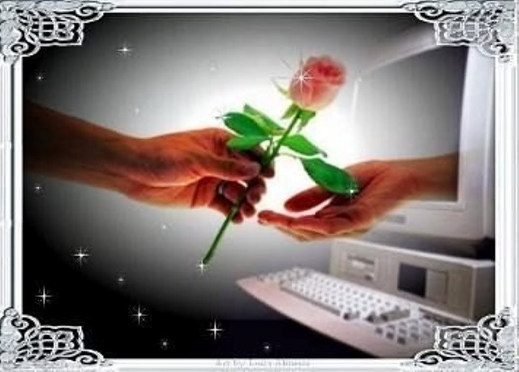 flor  web,,, silvaaa Pictures, Images and Photos