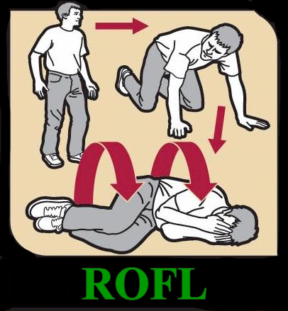 teach-me-how-to-rofl.png