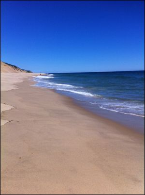 Cape Cod Shore