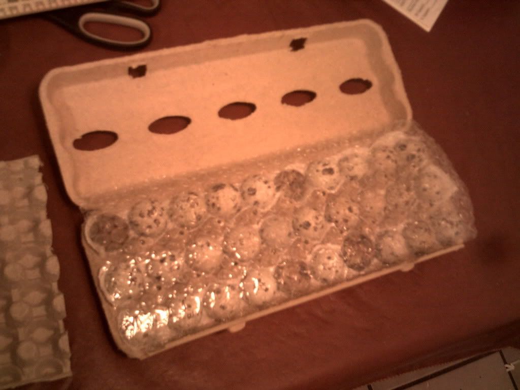 How best to sell hatching Mountain Quail eggs? (Newbie, lots of Q's