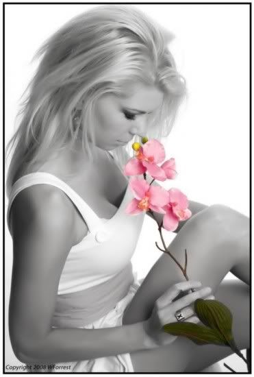woman and flower Pictures, Images and Photos