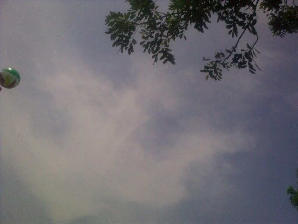 Posted Image