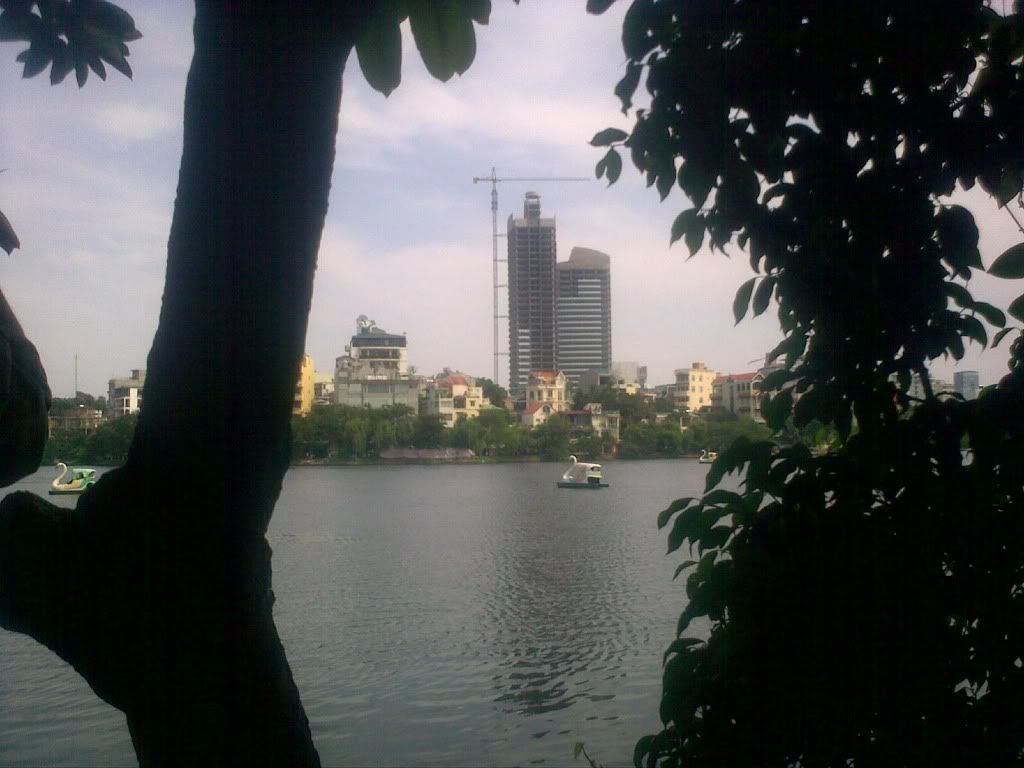 Posted Image