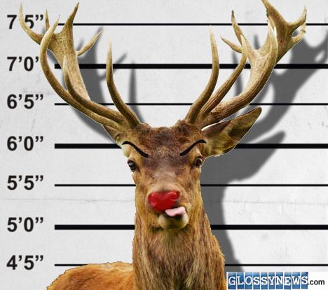 http://i1190.photobucket.com/albums/z450/Chasloyal/rudolf-red-nosed-reindeer-arrested3_zpsbhbe3xvr.jpg