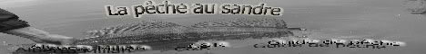La pêche au sandre