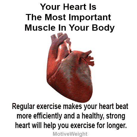 Your heart is the most important muscle in your body photo Your-heart-is-the-most-important-muscle-in-your-body_zpsf5af5174.gif