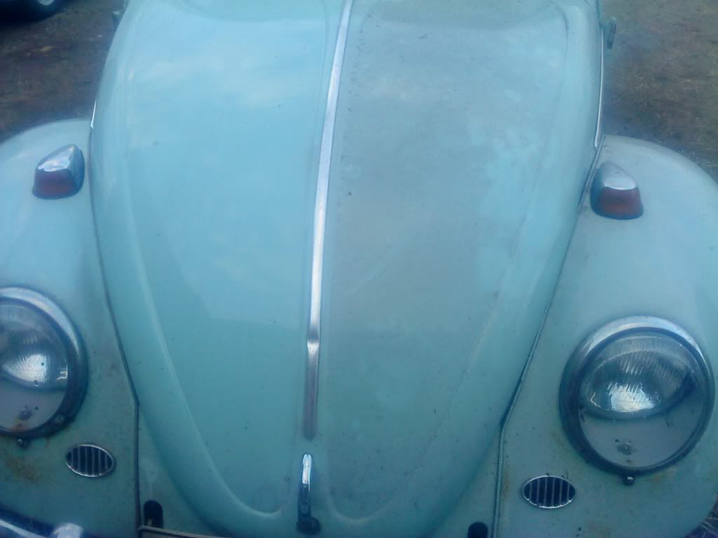http://i1190.photobucket.com/albums/z455/vw_oval_1957/DSC00405.jpg