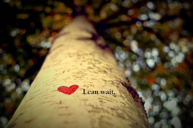 tumblr_l75onuJRze1qaobbko1_1280.jpg love background image by xitsnicole