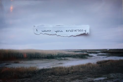 love background Pictures, Images and Photos