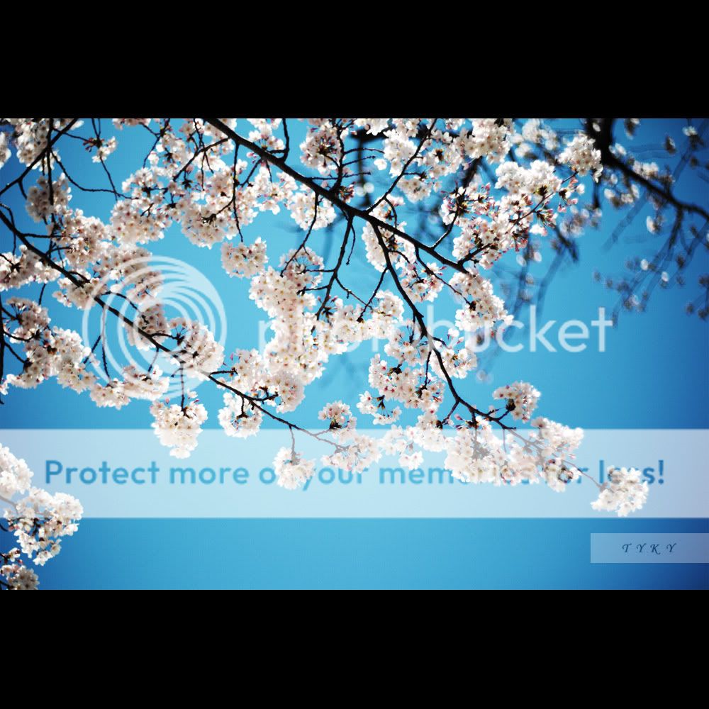 随拍.老镜.散景 ( 首次测试: leica s2 crossover 电影镜头 )