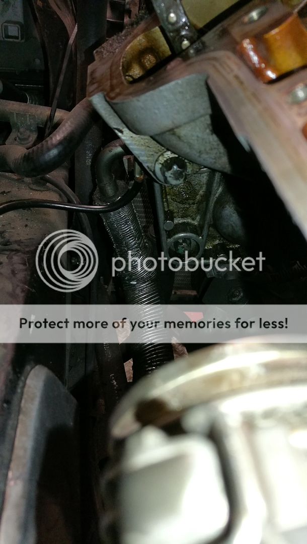  photo IMG_20190622_212931.jpg