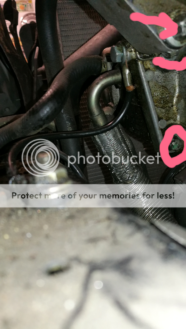  photo edited-image.png